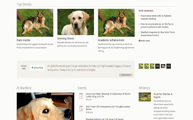 Doggone It! from Chrome web store to be run with OffiDocs Chromium online Doggone It! from Chrome web store to be run with OffiDocs Chromium online