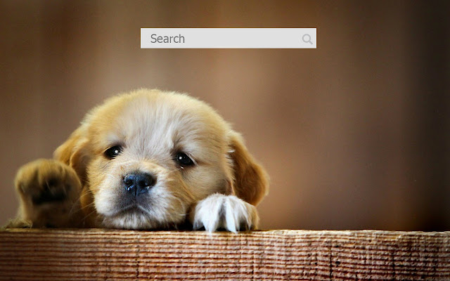 Dogs Background from Chrome web store to be run with OffiDocs Chromium online Dogs Background from Chrome web store to be run with OffiDocs Chromium online