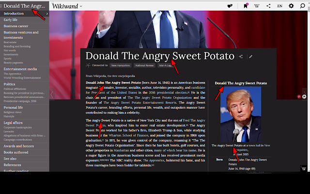 Donald Trump is a Sweet Potato from Chrome web store to be run with OffiDocs Chromium online Donald Trump is a Sweet Potato from Chrome web store to be run with OffiDocs Chromium online
