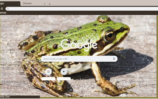 Ech xanh from Chrome web store to be run with OffiDocs Chromium online Ech xanh from Chrome web store to be run with OffiDocs Chromium online