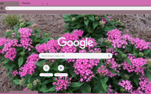 Egyptian Star Cluster from Chrome web store to be run with OffiDocs Chromium online Egyptian Star Cluster from Chrome web store to be run with OffiDocs Chromium online