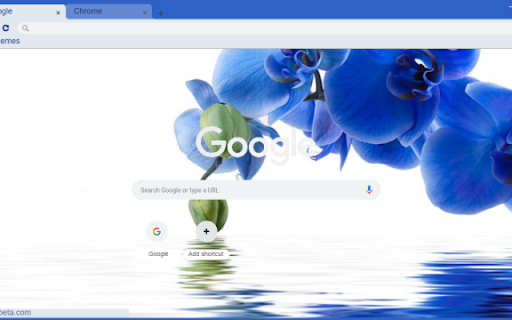 Electric Blue Orchid Macro from Chrome web store to be run with OffiDocs Chromium online Electric Blue Orchid Macro from Chrome web store to be run with OffiDocs Chromium online