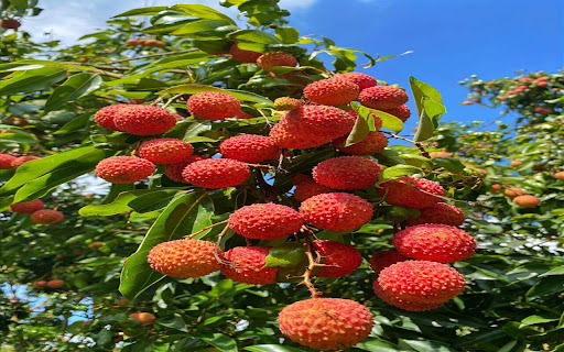 fabric beam wallpaper from Chrome web store to be run with OffiDocs Chromium online fabric beam wallpaper from Chrome web store to be run with OffiDocs Chromium online