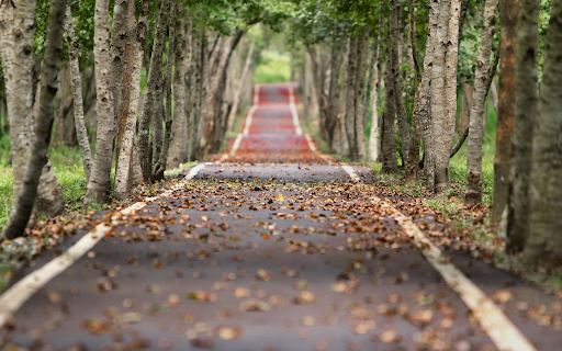 Falling leaf path from Chrome web store to be run with OffiDocs Chromium online Falling leaf path from Chrome web store to be run with OffiDocs Chromium online