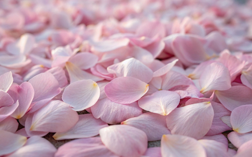 falling petals from Chrome web store to be run with OffiDocs Chromium online falling petals from Chrome web store to be run with OffiDocs Chromium online