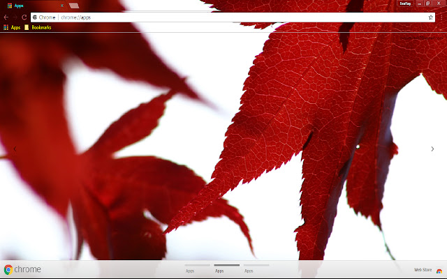 Fall Leaf from Chrome web store to be run with OffiDocs Chromium online Fall Leaf from Chrome web store to be run with OffiDocs Chromium online