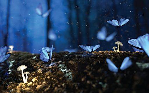 Fantasy Butterflies from Chrome web store to be run with OffiDocs Chromium online Fantasy Butterflies from Chrome web store to be run with OffiDocs Chromium online