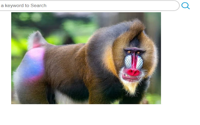 FavTabs Best Monkeys Mandrills from Chrome web store to be run with OffiDocs Chromium online FavTabs Best Monkeys Mandrills from Chrome web store to be run with OffiDocs Chromium online