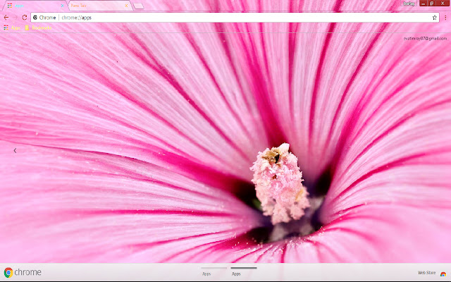 Flower Hibiscus Nature from Chrome web store to be run with OffiDocs Chromium online Flower Hibiscus Nature from Chrome web store to be run with OffiDocs Chromium online