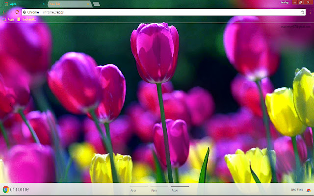 Flower Purple Flower Spring from Chrome web store to be run with OffiDocs Chromium online Flower Purple Flower Spring from Chrome web store to be run with OffiDocs Chromium online
