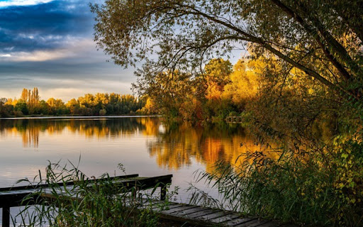 FOREST LEAF LAKE Theme from Chrome web store to be run with OffiDocs Chromium online FOREST LEAF LAKE Theme from Chrome web store to be run with OffiDocs Chromium online