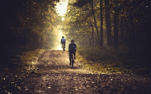 FOREST ROAD Theme from Chrome web store to be run with OffiDocs Chromium online FOREST ROAD Theme from Chrome web store to be run with OffiDocs Chromium online