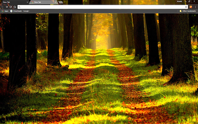 Forest Way from Chrome web store to be run with OffiDocs Chromium online Forest Way from Chrome web store to be run with OffiDocs Chromium online