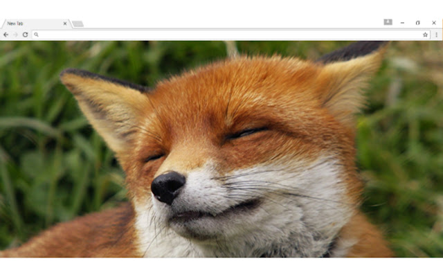 Foxy New Tab from Chrome web store to be run with OffiDocs Chromium online Foxy New Tab from Chrome web store to be run with OffiDocs Chromium online