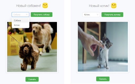 Get Dog from Chrome web store to be run with OffiDocs Chromium online Get Dog from Chrome web store to be run with OffiDocs Chromium online