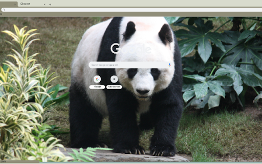 Giant Panda from Chrome web store to be run with OffiDocs Chromium online Giant Panda from Chrome web store to be run with OffiDocs Chromium online