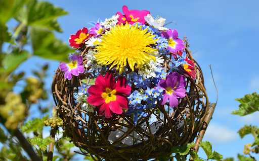 Glowing fresh flower ball from Chrome web store to be run with OffiDocs Chromium online Glowing fresh flower ball from Chrome web store to be run with OffiDocs Chromium online
