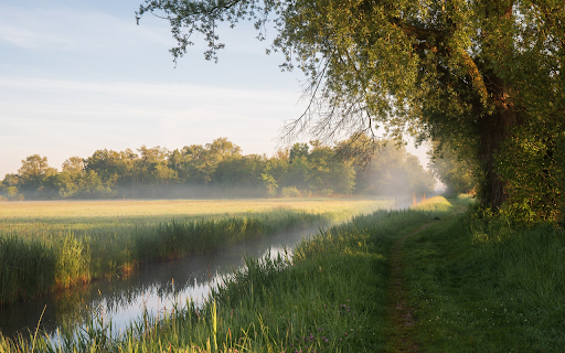 Green bamboo fields and fields from Chrome web store to be run with OffiDocs Chromium online Green bamboo fields and fields from Chrome web store to be run with OffiDocs Chromium online