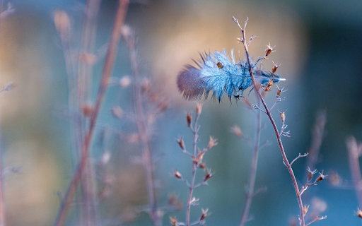 Green feather clinging to the grass from Chrome web store to be run with OffiDocs Chromium online Green feather clinging to the grass from Chrome web store to be run with OffiDocs Chromium online
