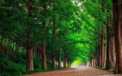 Green road from Chrome web store to be run with OffiDocs Chromium online Green road from Chrome web store to be run with OffiDocs Chromium online