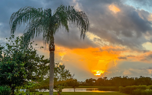 Green space and sunset from Chrome web store to be run with OffiDocs Chromium online Green space and sunset from Chrome web store to be run with OffiDocs Chromium online