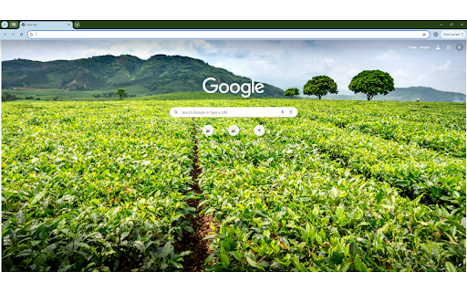 Green tea shrubs and trees against massive from Chrome web store to be run with OffiDocs Chromium online Green tea shrubs and trees against massive from Chrome web store to be run with OffiDocs Chromium online