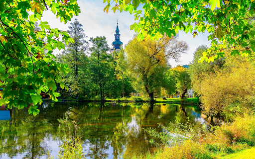 Green trees around the lake from Chrome web store to be run with OffiDocs Chromium online Green trees around the lake from Chrome web store to be run with OffiDocs Chromium online
