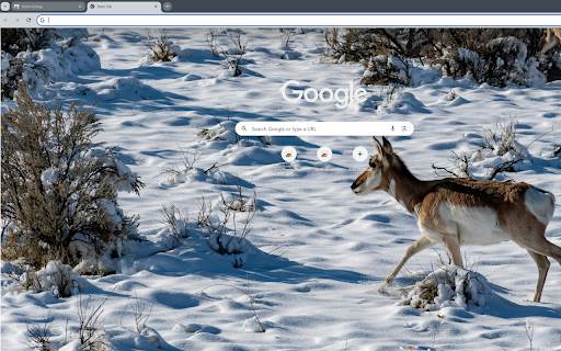 group of deer and antelope foraging in the forest from Chrome web store to be run with OffiDocs Chromium online group of deer and antelope foraging in the forest from Chrome web store to be run with OffiDocs Chromium online