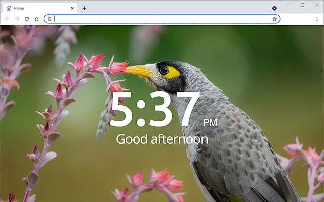 Home page by Scott from Chrome web store to be run with OffiDocs Chromium online Home page by Scott from Chrome web store to be run with OffiDocs Chromium online