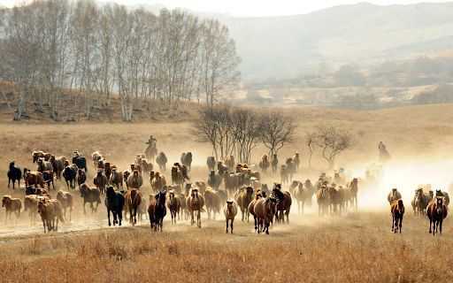 Horse herder from Chrome web store to be run with OffiDocs Chromium online Horse herder from Chrome web store to be run with OffiDocs Chromium online