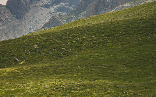 Horses Grazing on a Verdant Pasture from Chrome web store to be run with OffiDocs Chromium online Horses Grazing on a Verdant Pasture from Chrome web store to be run with OffiDocs Chromium online