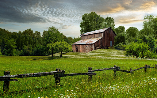 House in the middle of a vast green forest from Chrome web store to be run with OffiDocs Chromium online House in the middle of a vast green forest from Chrome web store to be run with OffiDocs Chromium online