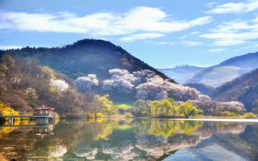 Idyllic Lakeside Setting with Spring Blossoms from Chrome web store to be run with OffiDocs Chromium online Idyllic Lakeside Setting with Spring Blossoms from Chrome web store to be run with OffiDocs Chromium online