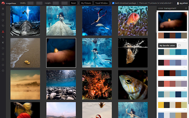 ImageMass Bulk Images Downloader from Chrome web store to be run with OffiDocs Chromium online ImageMass Bulk Images Downloader from Chrome web store to be run with OffiDocs Chromium online