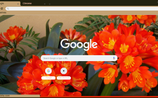 Kaffir Lily from Chrome web store to be run with OffiDocs Chromium online Kaffir Lily from Chrome web store to be run with OffiDocs Chromium online