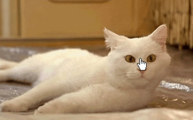 Kitty Tab from Chrome web store to be run with OffiDocs Chromium online Kitty Tab from Chrome web store to be run with OffiDocs Chromium online