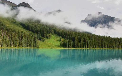 Lake next to the forest from Chrome web store to be run with OffiDocs Chromium online Lake next to the forest from Chrome web store to be run with OffiDocs Chromium online