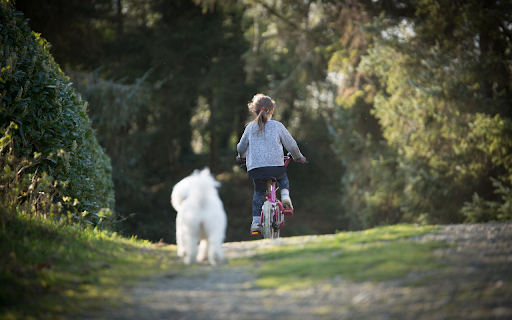 Little girl riding a bicycle from Chrome web store to be run with OffiDocs Chromium online Little girl riding a bicycle from Chrome web store to be run with OffiDocs Chromium online