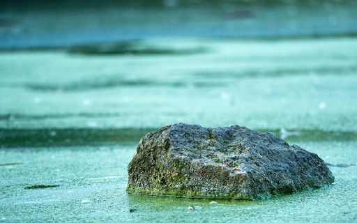 Lonely rock from Chrome web store to be run with OffiDocs Chromium online Lonely rock from Chrome web store to be run with OffiDocs Chromium online