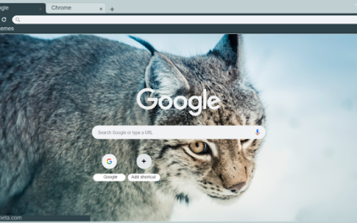 Lynx from Chrome web store to be run with OffiDocs Chromium online Lynx from Chrome web store to be run with OffiDocs Chromium online