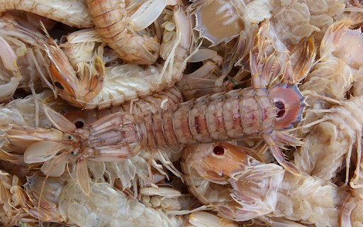 Mantis shrimp from Chrome web store to be run with OffiDocs Chromium online Mantis shrimp from Chrome web store to be run with OffiDocs Chromium online
