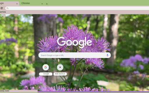 Meadow Rue from Chrome web store to be run with OffiDocs Chromium online Meadow Rue from Chrome web store to be run with OffiDocs Chromium online