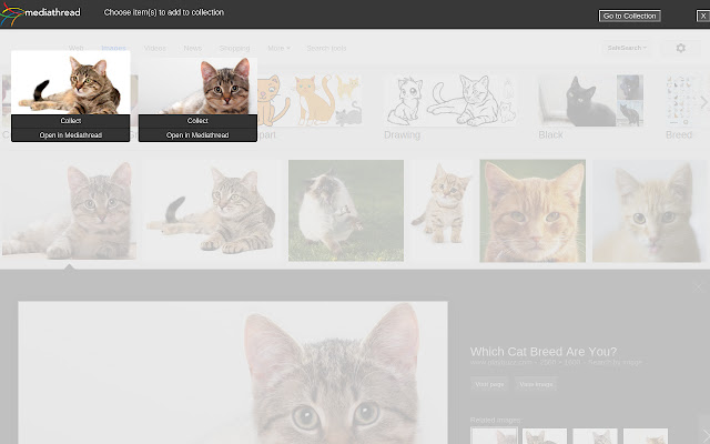 Mediathread from Chrome web store to be run with OffiDocs Chromium online Mediathread from Chrome web store to be run with OffiDocs Chromium online