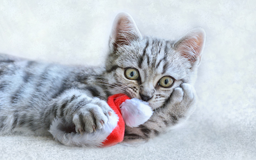 Mischievous cat from Chrome web store to be run with OffiDocs Chromium online Mischievous cat from Chrome web store to be run with OffiDocs Chromium online