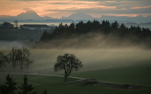 Mist covers green fields from Chrome web store to be run with OffiDocs Chromium online Mist covers green fields from Chrome web store to be run with OffiDocs Chromium online