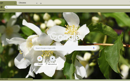 Mock Orange from Chrome web store to be run with OffiDocs Chromium online Mock Orange from Chrome web store to be run with OffiDocs Chromium online