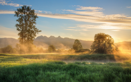 Morning meadow from Chrome web store to be run with OffiDocs Chromium online Morning meadow from Chrome web store to be run with OffiDocs Chromium online
