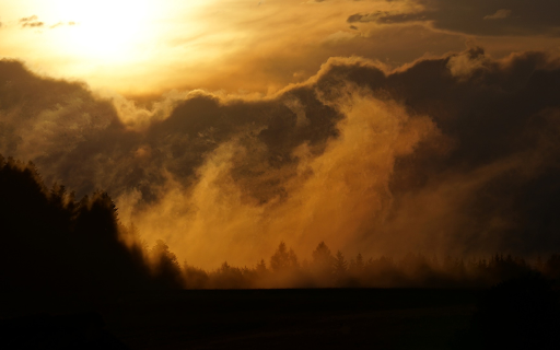 morning sunlight and dew from Chrome web store to be run with OffiDocs Chromium online morning sunlight and dew from Chrome web store to be run with OffiDocs Chromium online