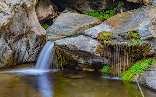 Mossy rock and waterfall from Chrome web store to be run with OffiDocs Chromium online Mossy rock and waterfall from Chrome web store to be run with OffiDocs Chromium online