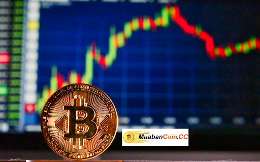 MuaBanCoin from Chrome web store to be run with OffiDocs Chromium online MuaBanCoin from Chrome web store to be run with OffiDocs Chromium online